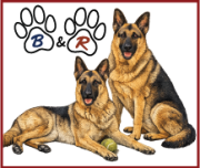 Section Header photo